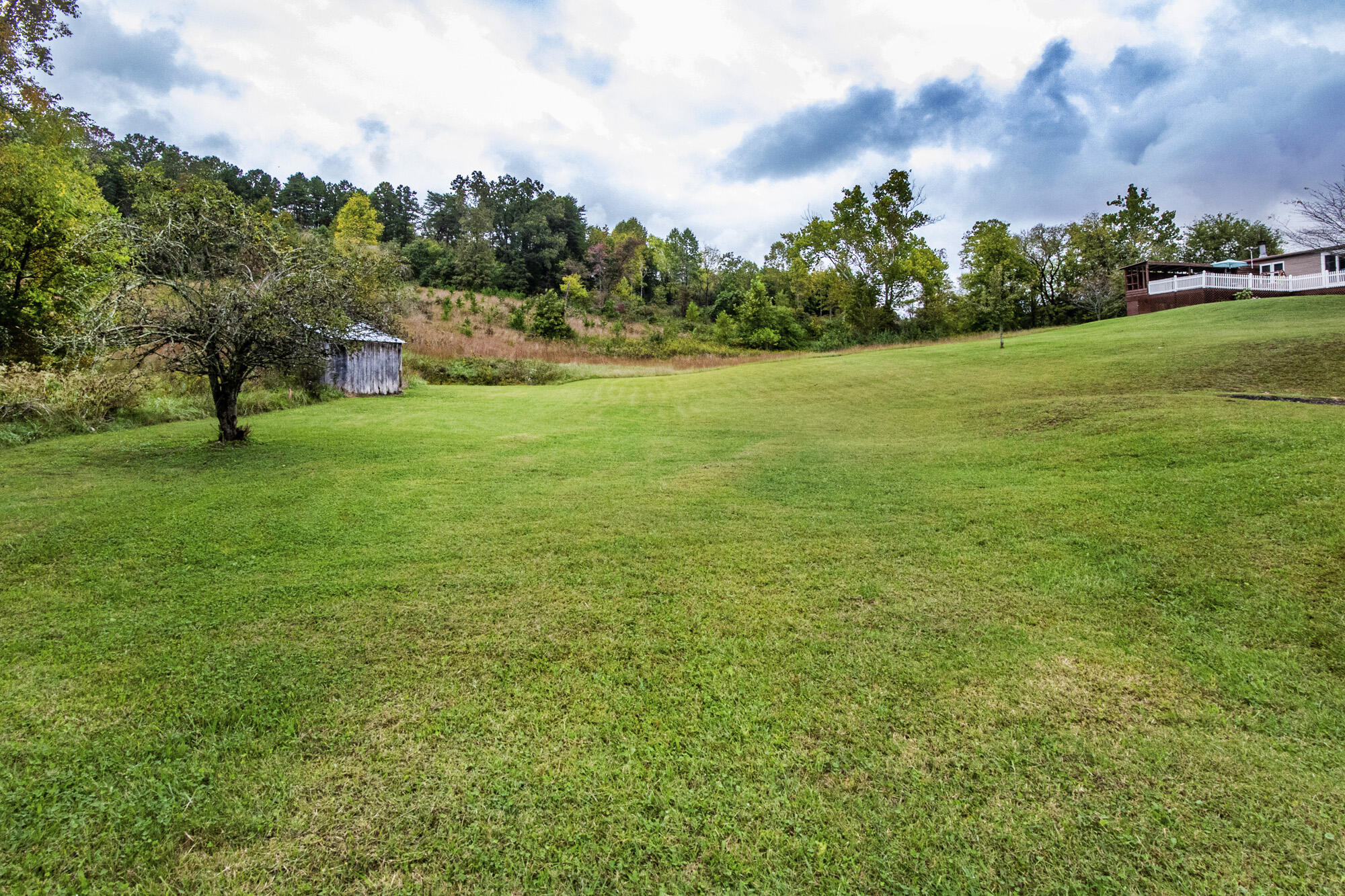 2203 Lynx Road New Market, TN 37820 - Photo 29 of 39 V19A3726
