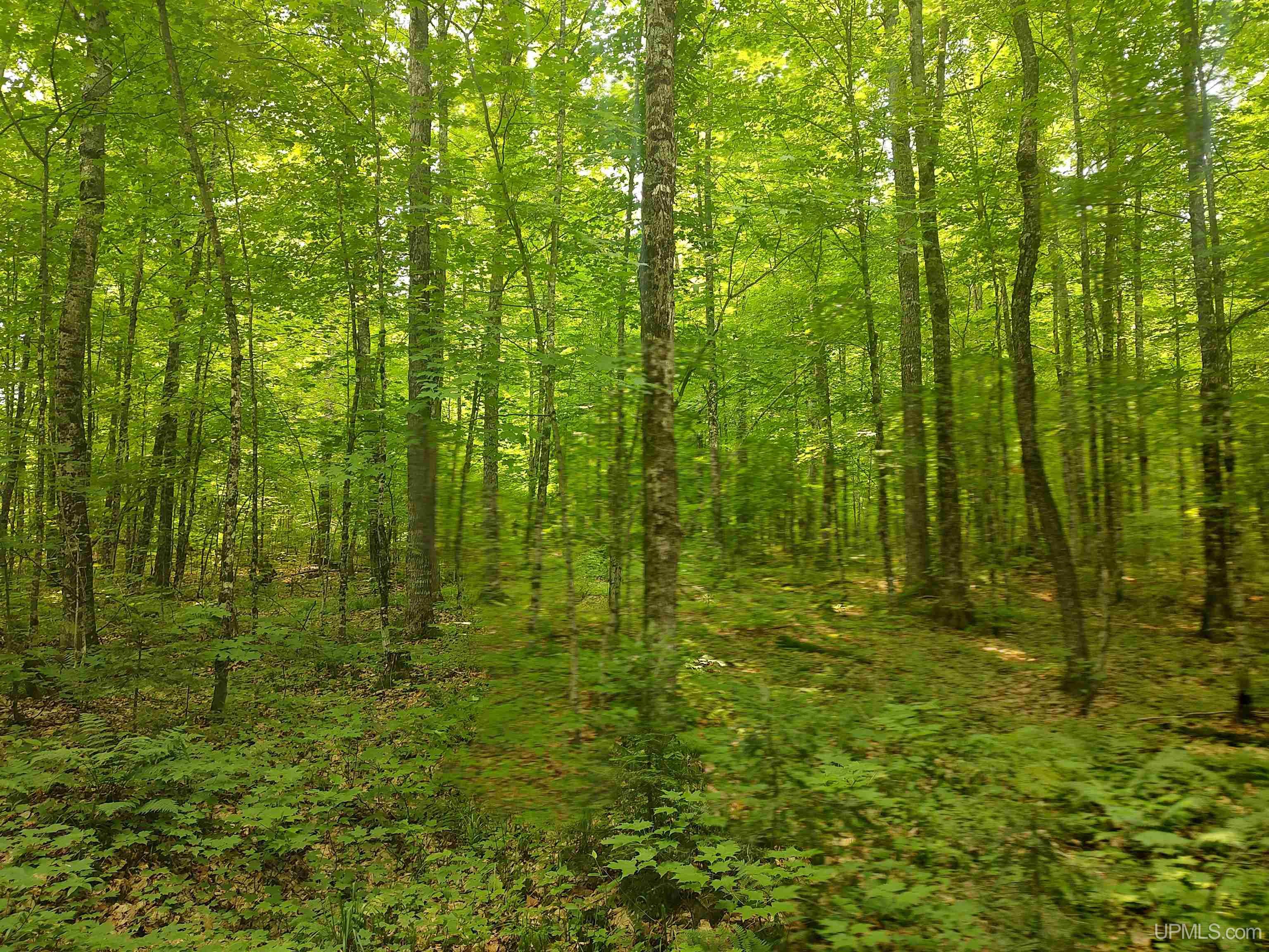 60-acres Sleepy Hollow Road Ishpeming, MI 49849 - Photo 12 of 29