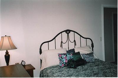 7829 Forest Beach Road Watervliet, MI 49098 - Photo 20 of 24 Additional Photo