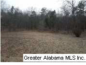 625 Hazel Lane Alpine, AL 35014 - Photo 2 of 12