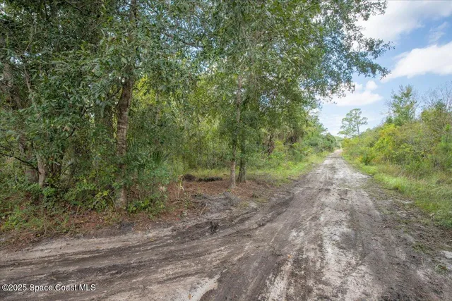 a view of a dirt road with trees in the background