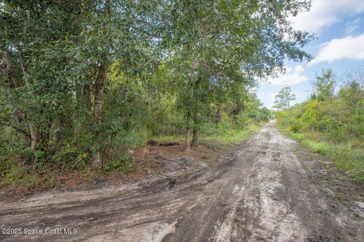 0 Blounts Ridge Road Mims, FL 32754 - Photo 3 of 9 a view of a dirt road with trees in the background