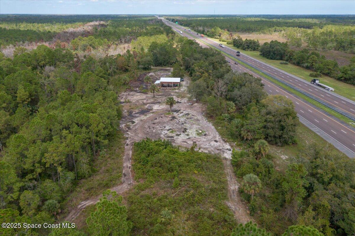 0 Blounts Ridge Road Mims, FL 32754 - Photo 5 of 9 a view of a forest from a yard