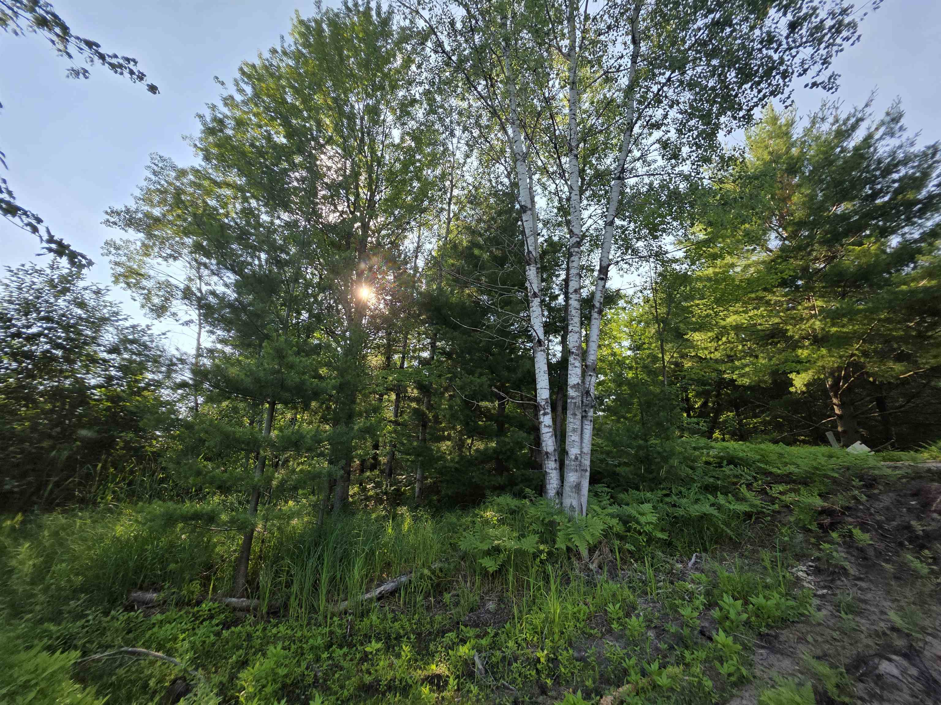 0 Arnold Road Manton, MI 49663 - Photo 54 of 63