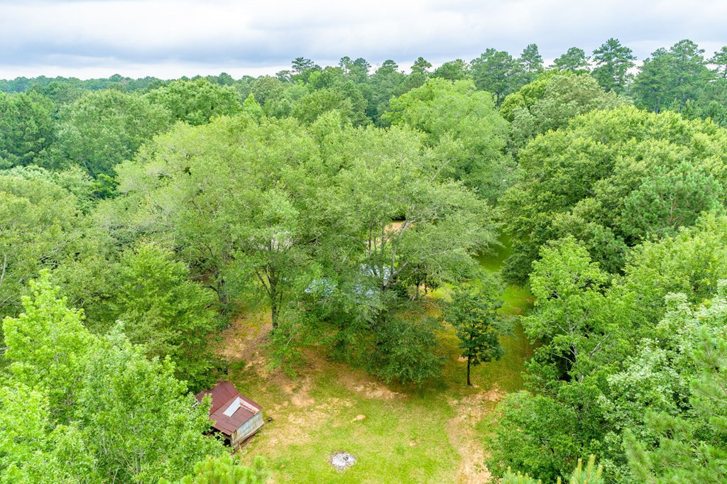 2250 Busy Corner Road Gloster, MS 39638 - Photo 35 of 39 Photo 35