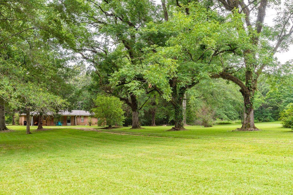 2250 Busy Corner Road Gloster, MS 39638 - Photo 5 of 39 Photo 5