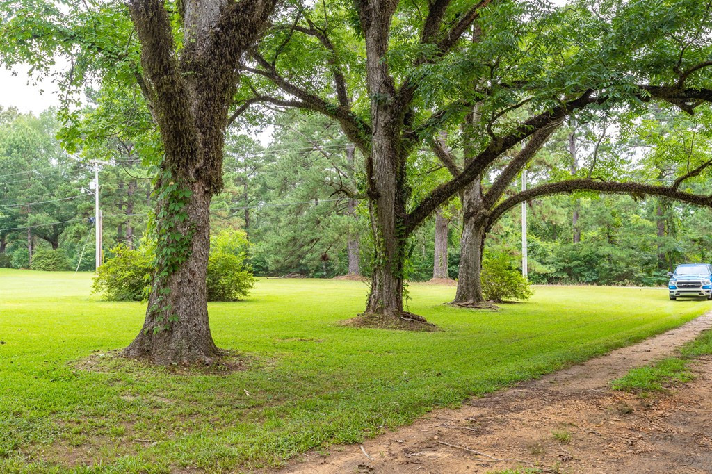 2250 Busy Corner Road Gloster, MS 39638 - Photo 6 of 39 Photo 6