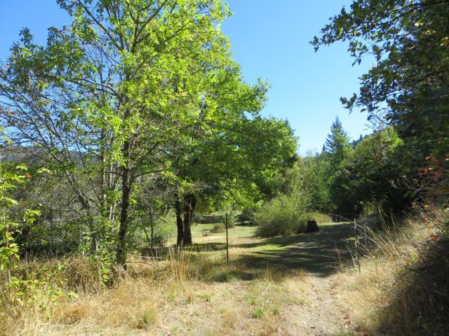 2500 Van Duzen Road Bridgeville, CA 95526 - Photo 39 of 48