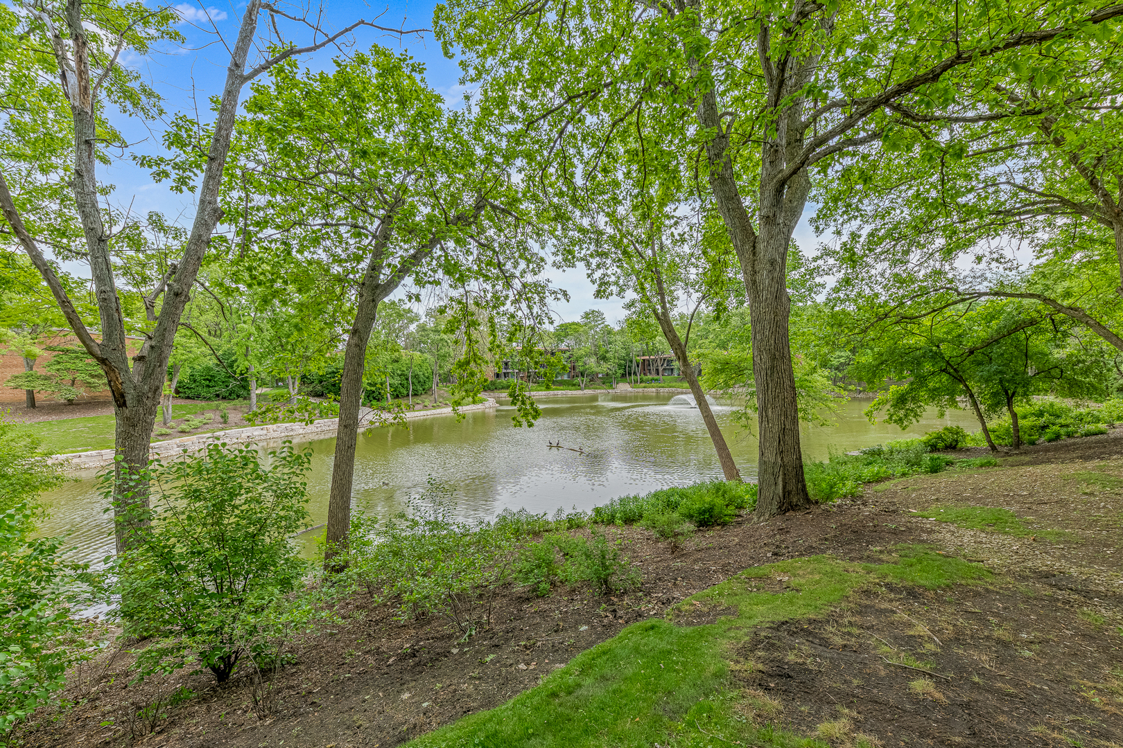 6015 Forest View Road, Unit 2A Lisle, IL 60532 - Photo 12 of 12 a backyard of a house with lots of green space and lake view