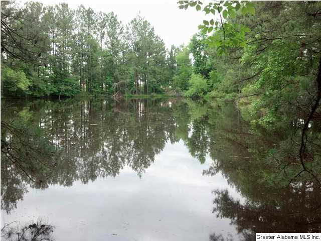 9868 Highway 431 Alexandria, AL 36250 - Photo 3 of 28