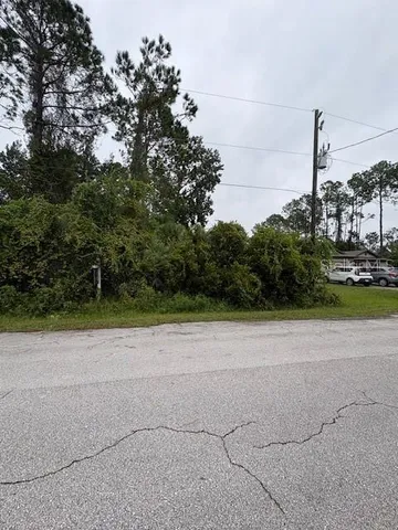 a view of a yard with plants and trees