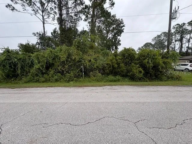 a view of a yard with a house