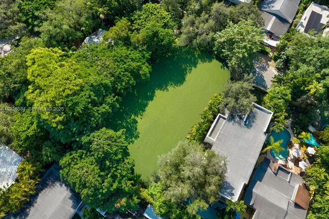 a view of a forest with a houses