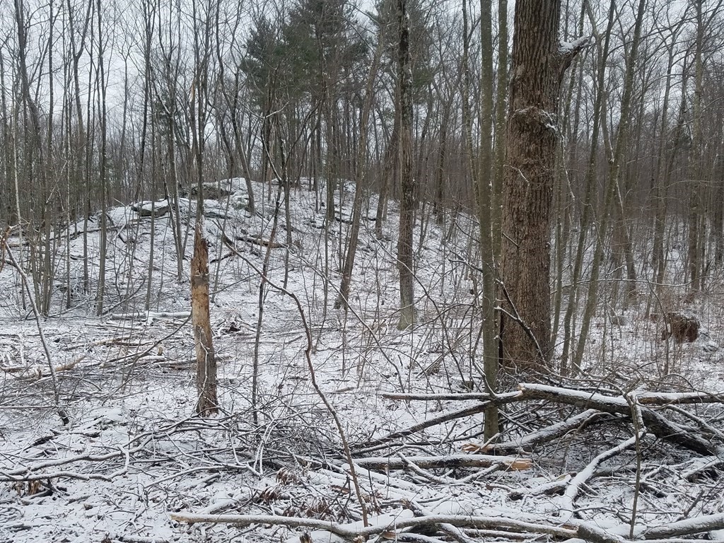 Lot 3 Bemis Road Warren, MA 01083 - Photo 1 of 6 Gallery Image 1