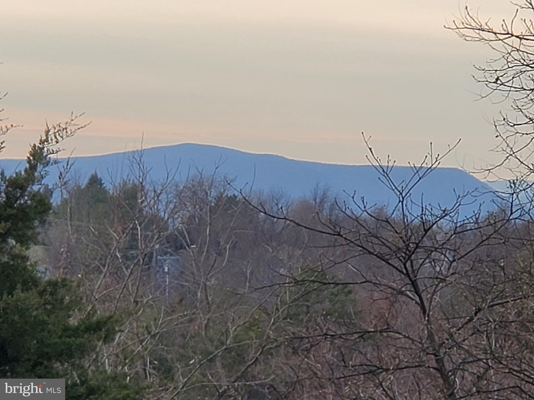 218 Apple Core Road Linden, VA 22642 - Photo 70 of 107