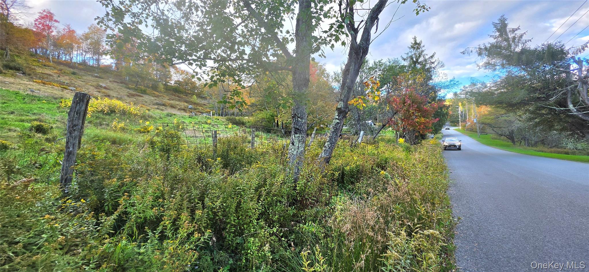 55 Lilly Pond Road Parksville, NY 12768 - Photo 15 of 21 Gallery Image 15