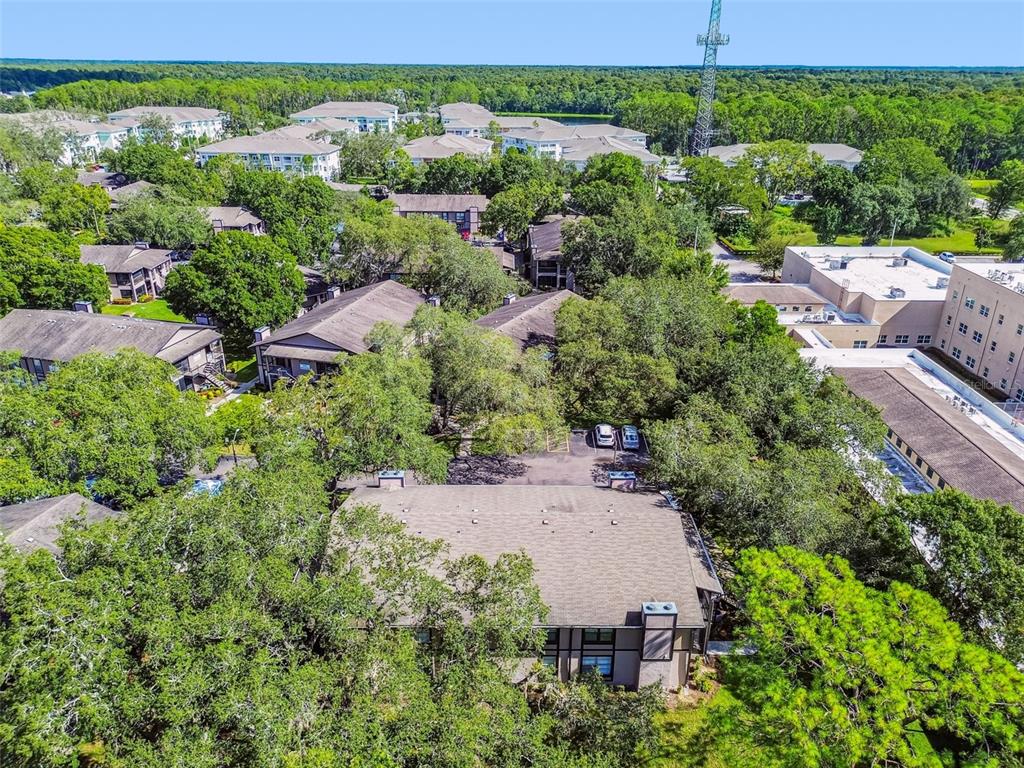 4033 Dream Oak Place, Unit 202 Tampa, FL 33613 - Photo 30 of 37