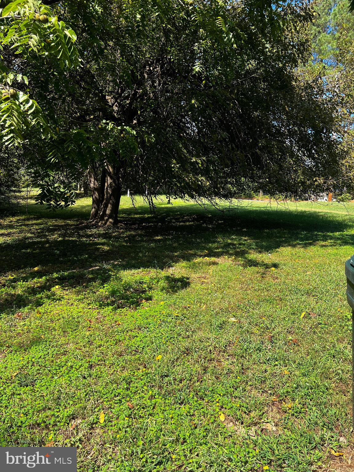 Mt Victoria Road Newburg, MD 20664 - Photo 31 of 43 a view of a lake view