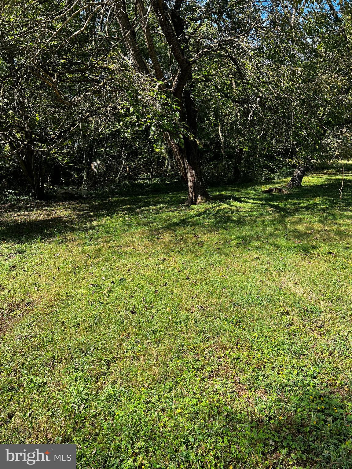 Mt Victoria Road Newburg, MD 20664 - Photo 32 of 43 a view of a yard