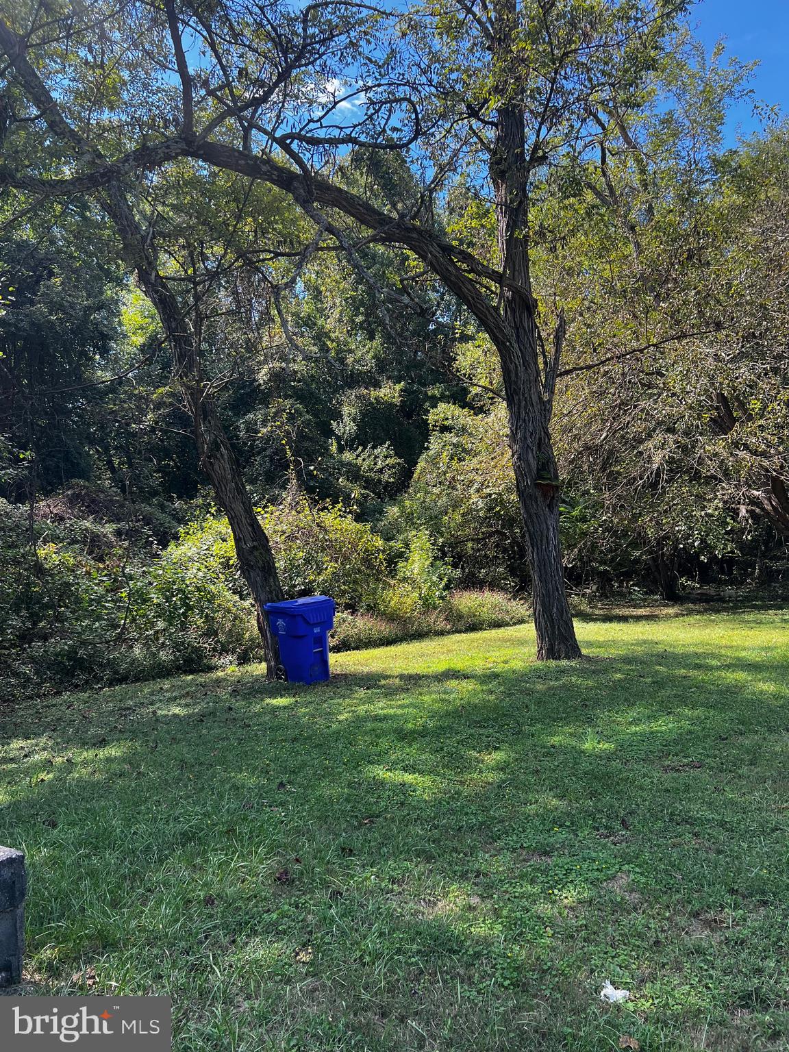Mt Victoria Road Newburg, MD 20664 - Photo 33 of 43 a fire hydrant in the middle of a field