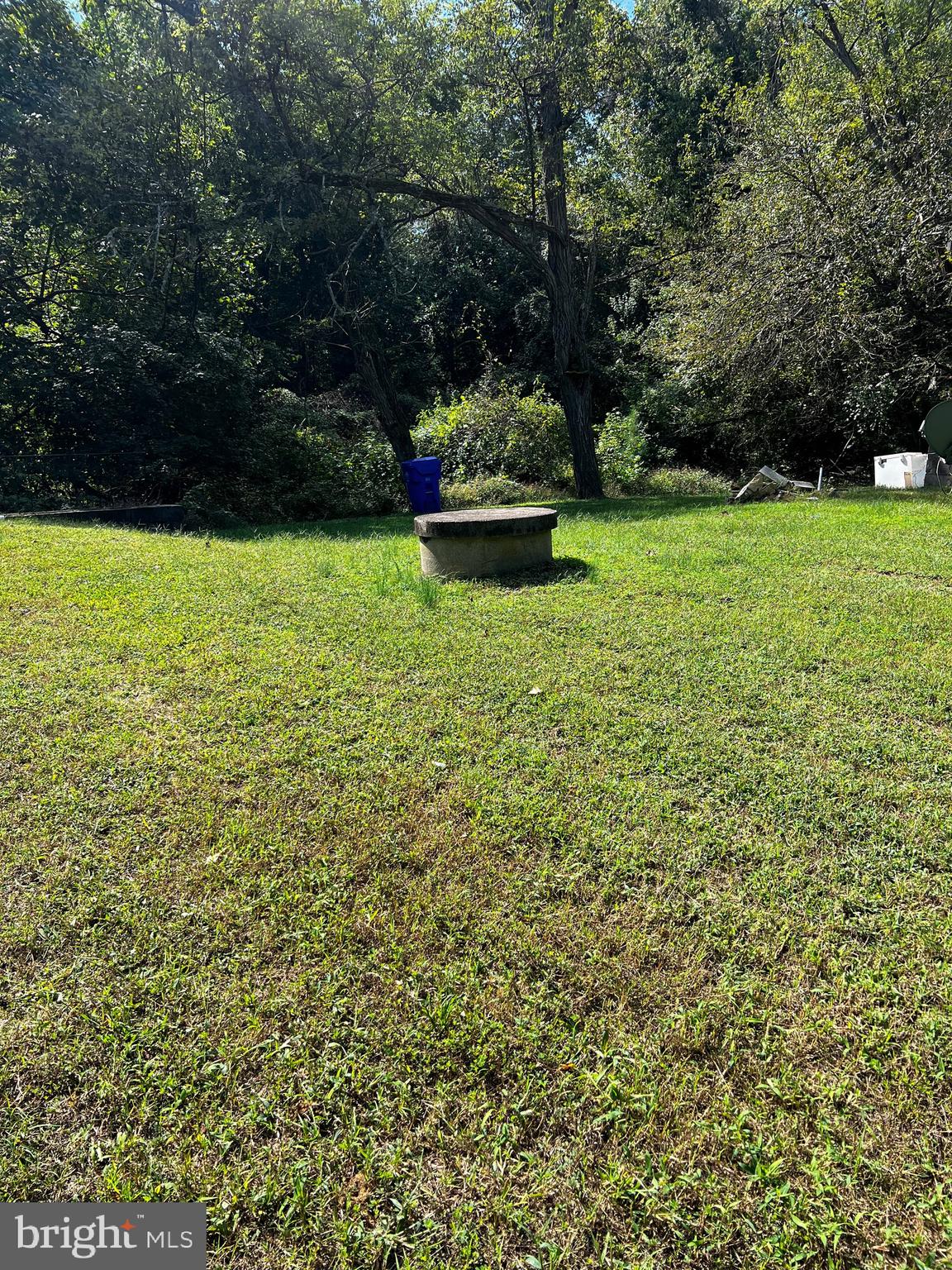 Mt Victoria Road Newburg, MD 20664 - Photo 34 of 43 a view of a garden