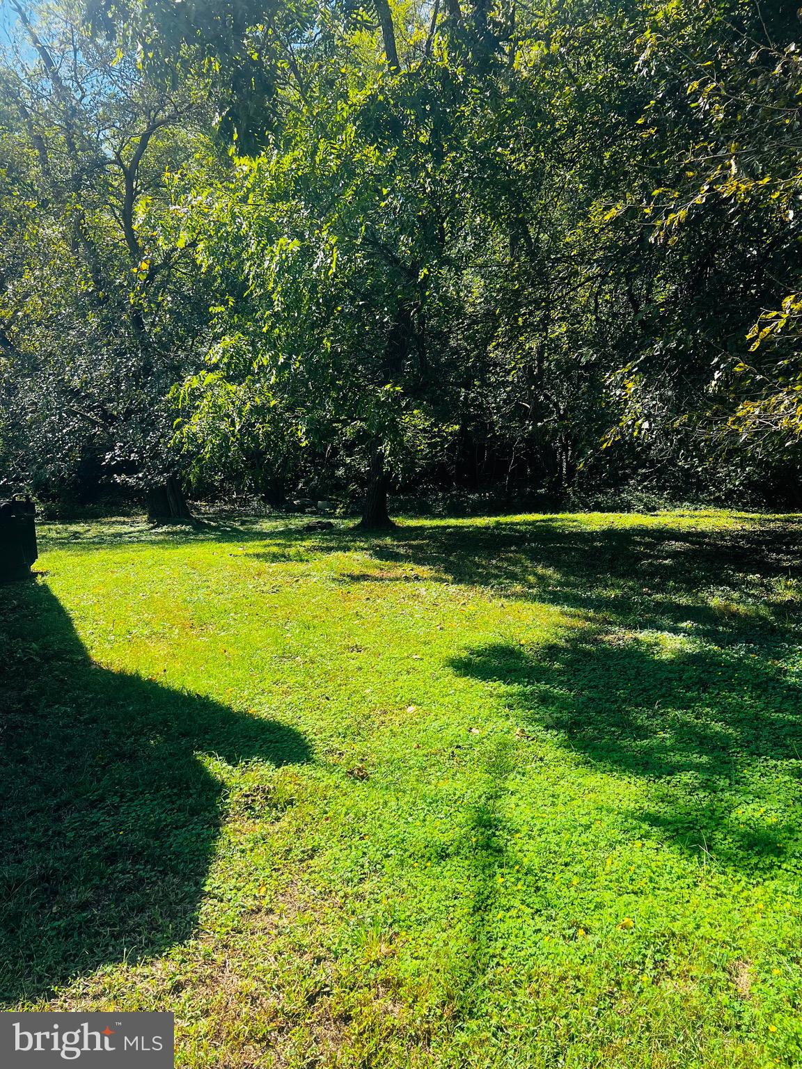 Mt Victoria Road Newburg, MD 20664 - Photo 43 of 43 a view of a swimming pool with a yard