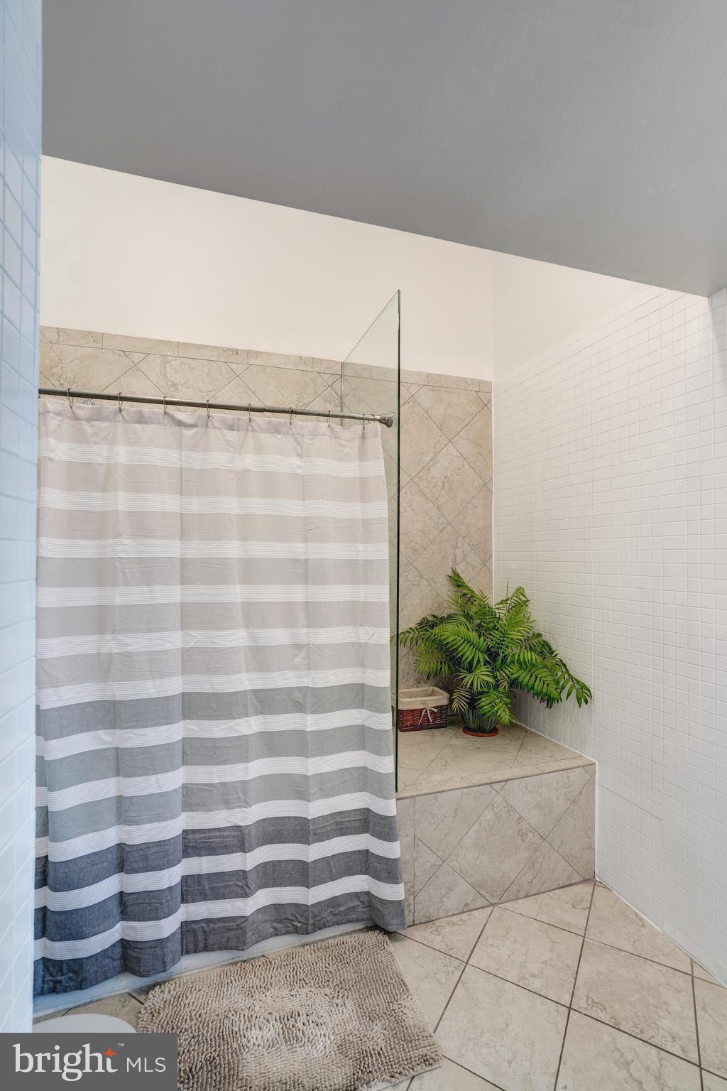 1527 Church Street Northwest, Unit A Washington, DC 20005 - Photo 20 of 31 Large walk-in shower