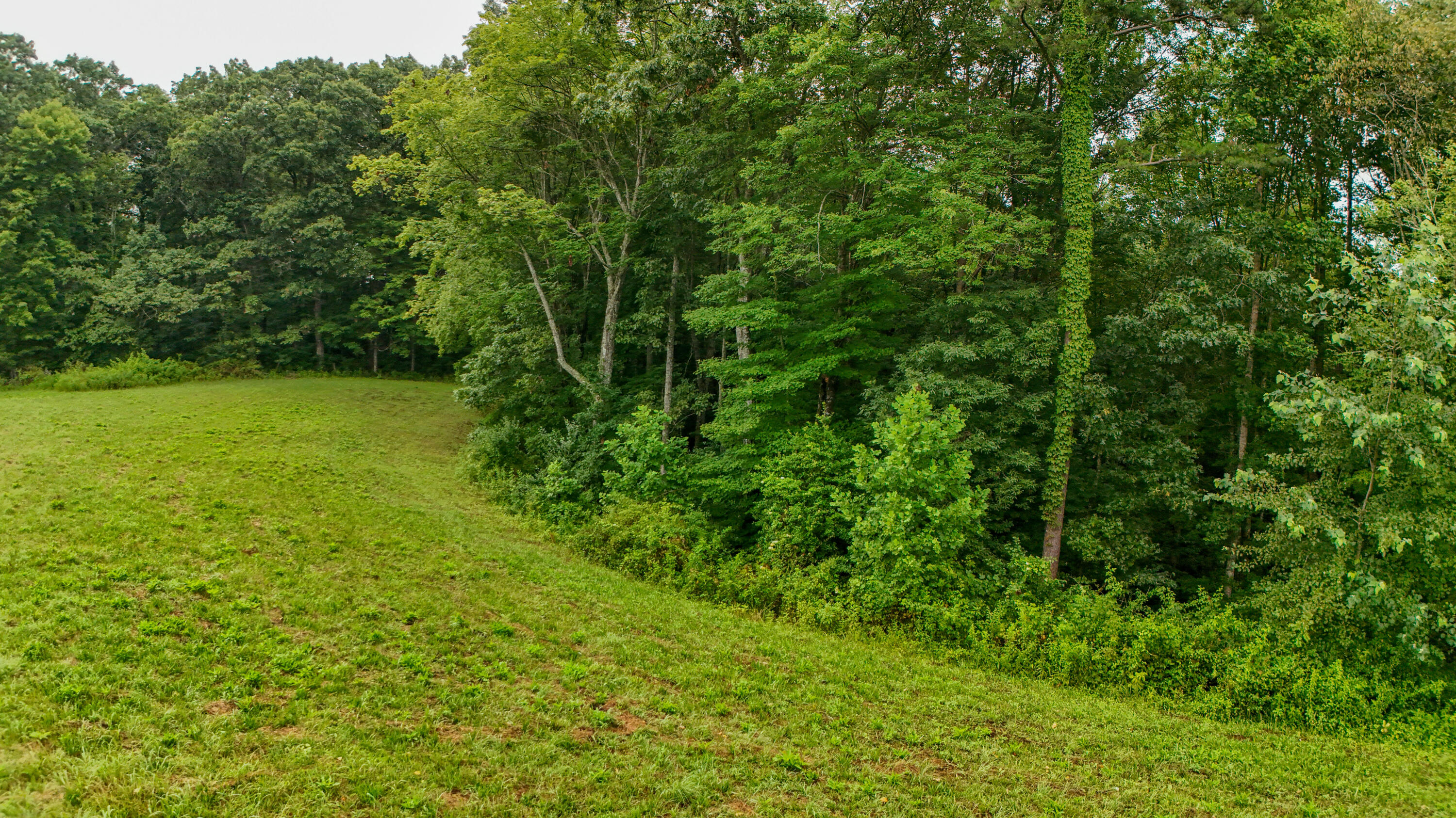 0 Travis Road London, KY 40744 - Photo 16 of 19 DJI_20250718093828_0031_D_CKMPHOTO-0 Tra