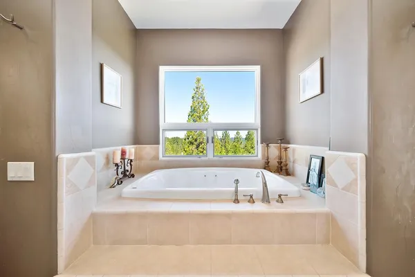 a view of a yard with plants and a trees