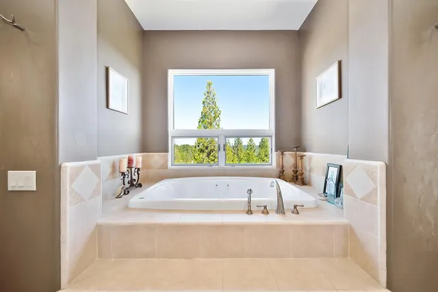 a view of a yard with plants and a trees