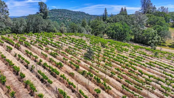 $1,690,000 | 4941 D D'Agostini, Somerset, CA 95684