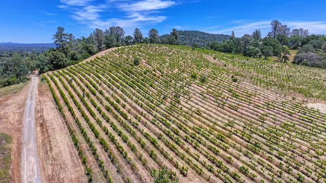 $1,690,000 | 4941 D D'Agostini, Somerset, CA 95684