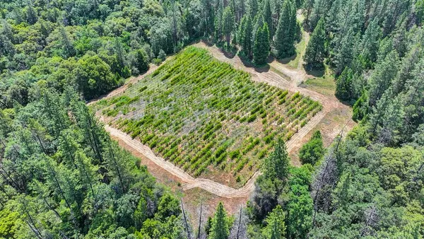 $1,690,000 | 4941 D D'Agostini, Somerset, CA 95684