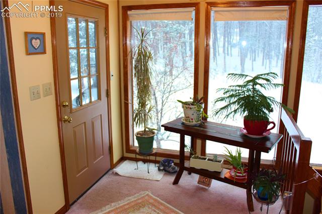 Plenty of natural sunlight throughout the home