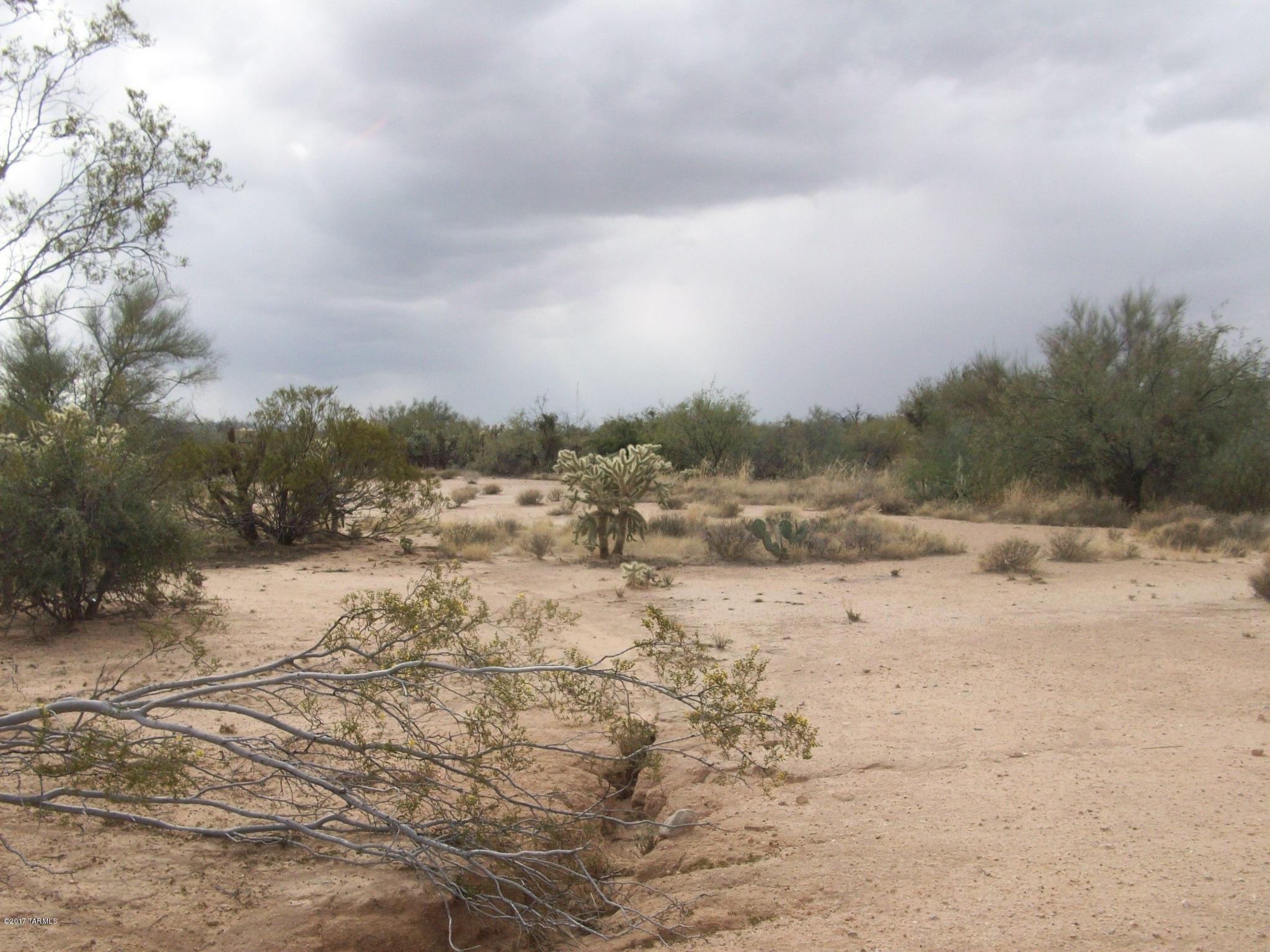 14465 West Applejack Road Tucson, AZ 85736 - Photo 1 of 5