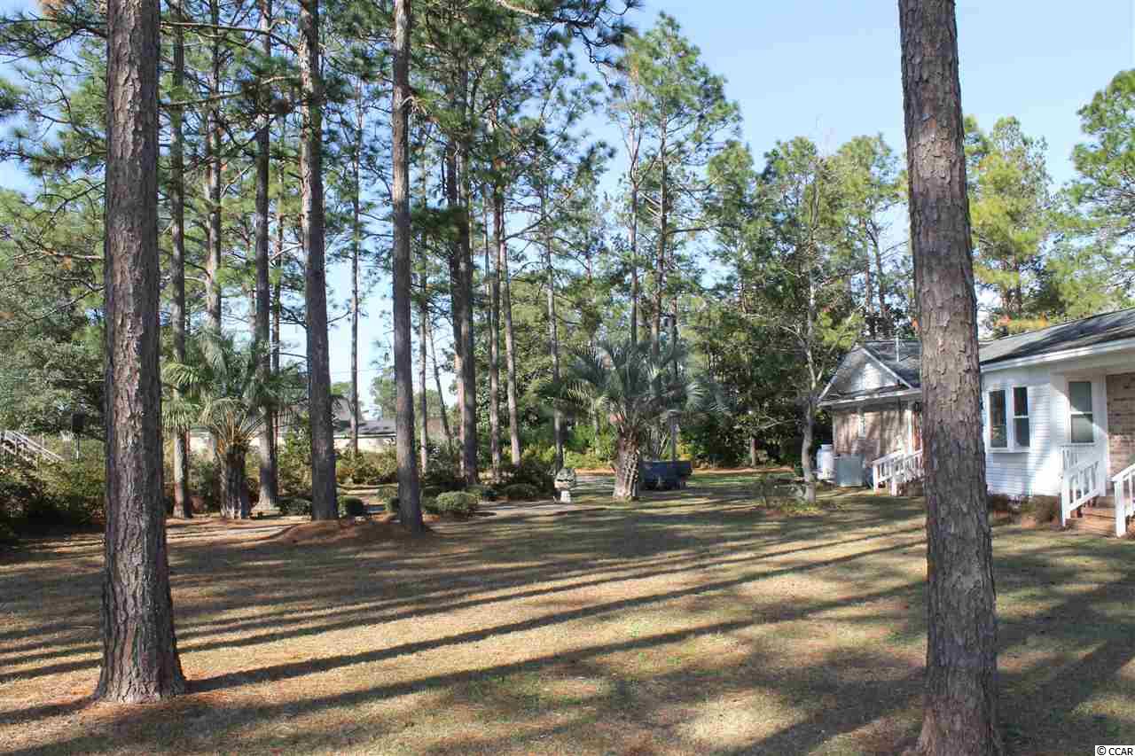 236 Holly View Lane Loris, SC 29569 - Photo 3 of 6 Gallery Image 3
