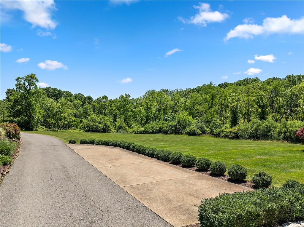 548 Lang Road Sewickley, PA 15143 - Photo 46 of 49 a view of a garden with an trees