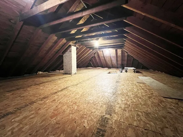 a tree in the middle of a yard