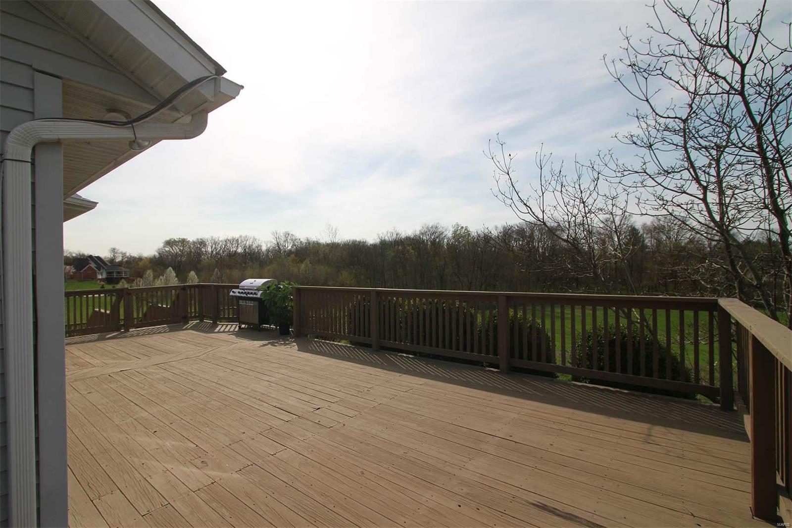 13360 Trestle Road Highland, IL 62249 - Photo 63 of 67