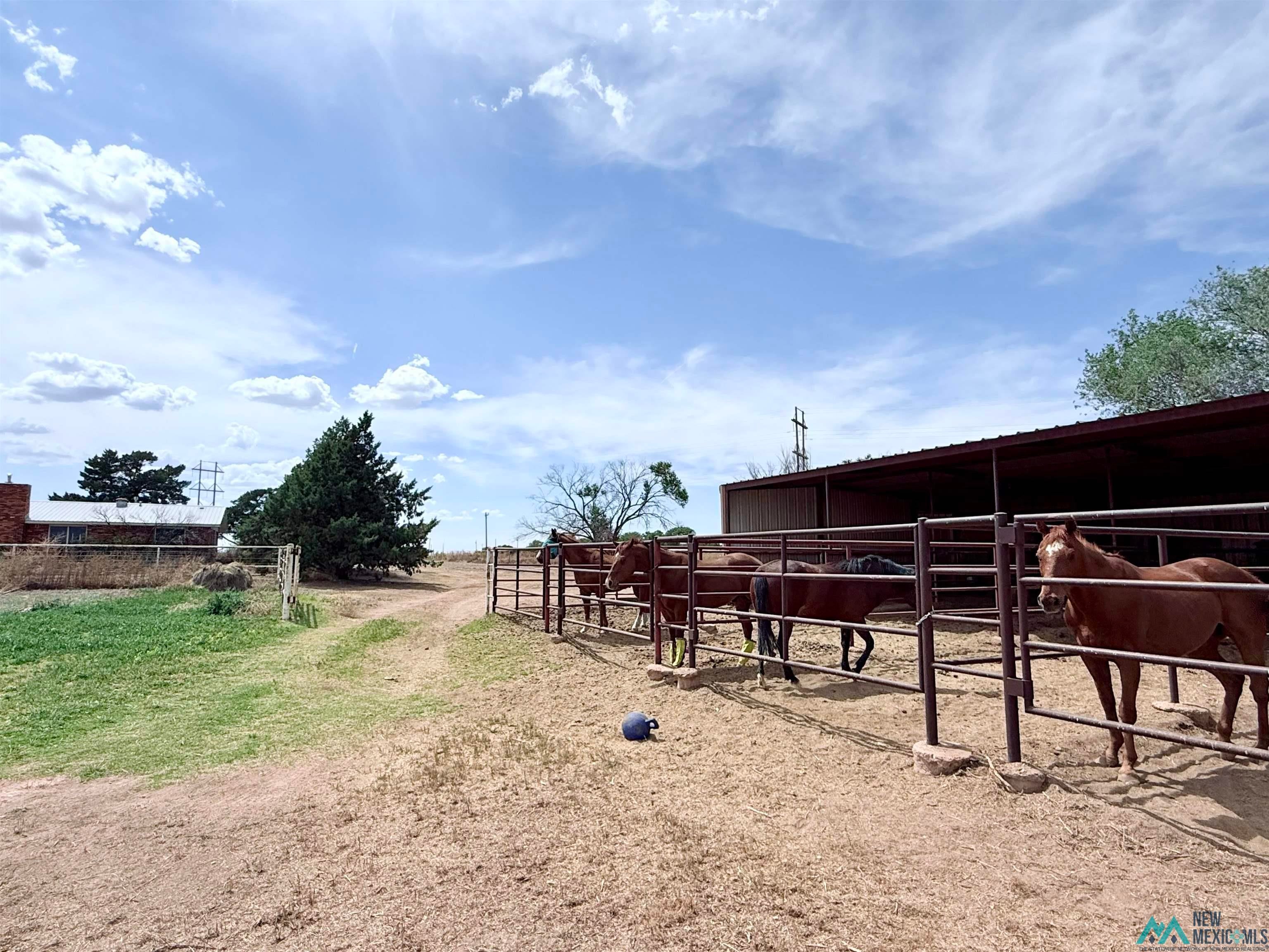 997 State Rte 108 Texico, NM 88135 - Photo 27 of 33 Image quality insufficient for description