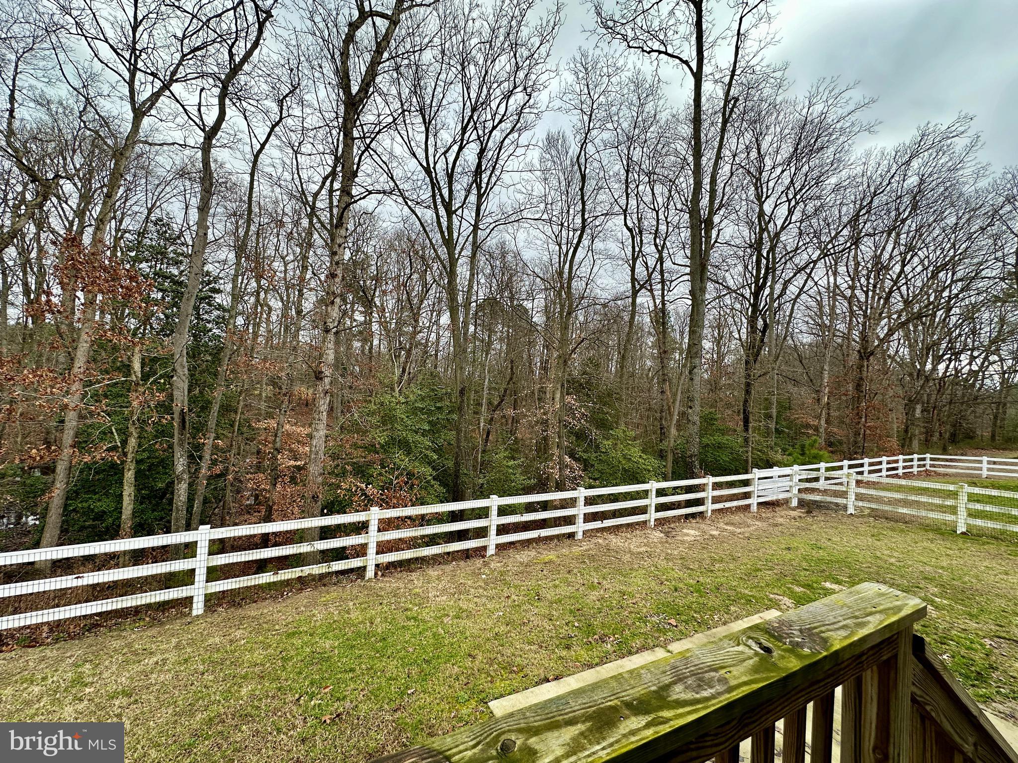 326 Sweeping Mist Circle Frederica, DE 19946 - Photo 3 of 37 a view of a swimming pool with a yard