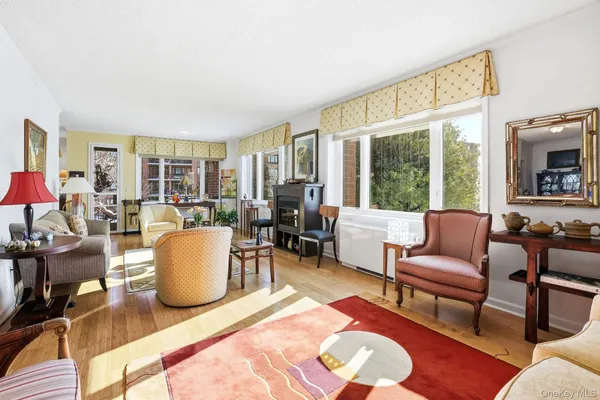 a living room with furniture a dining table and a potted plant