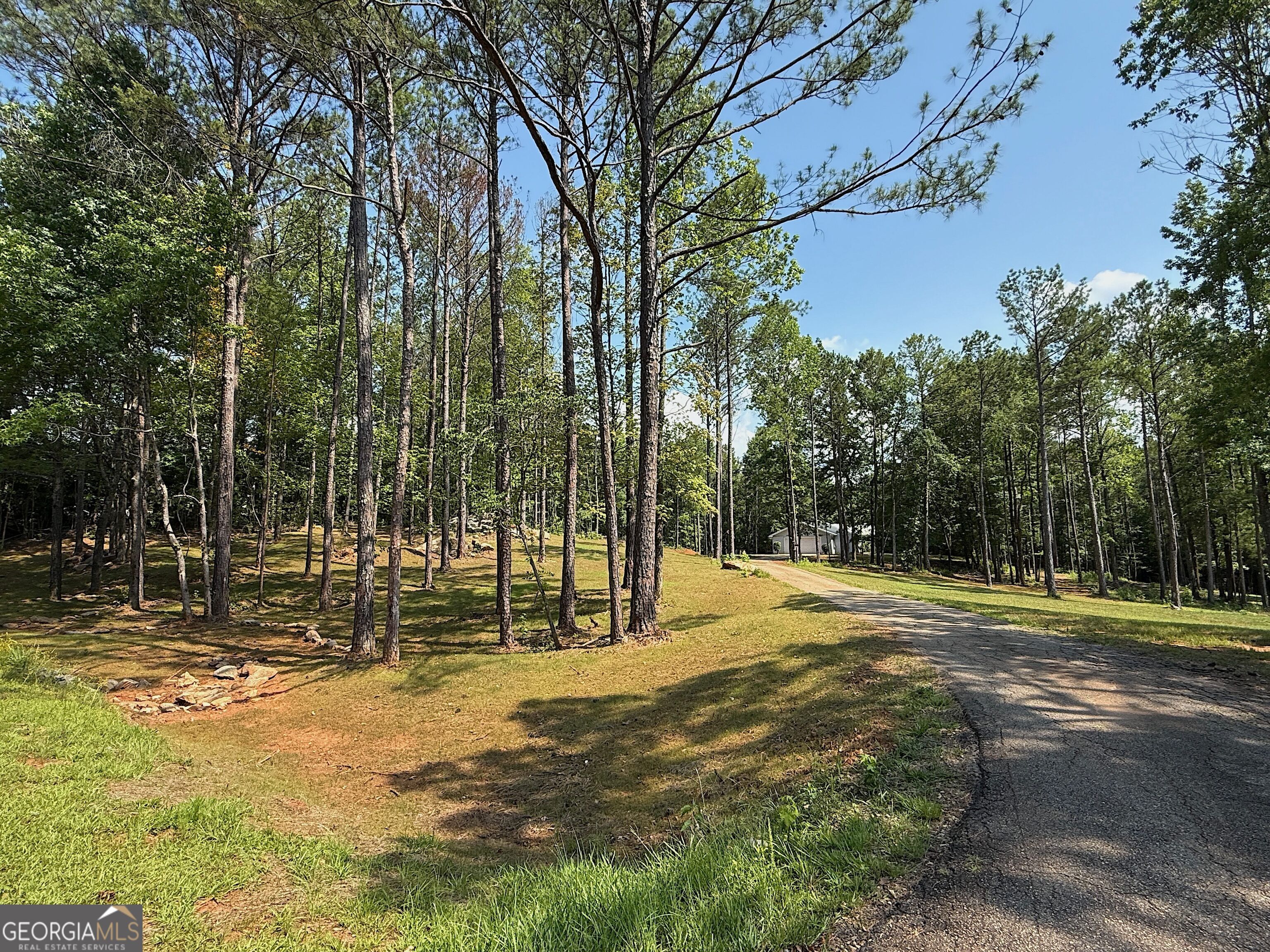 245 Lake Talbot Road Box Springs, GA 31801 - Photo 2 of 31