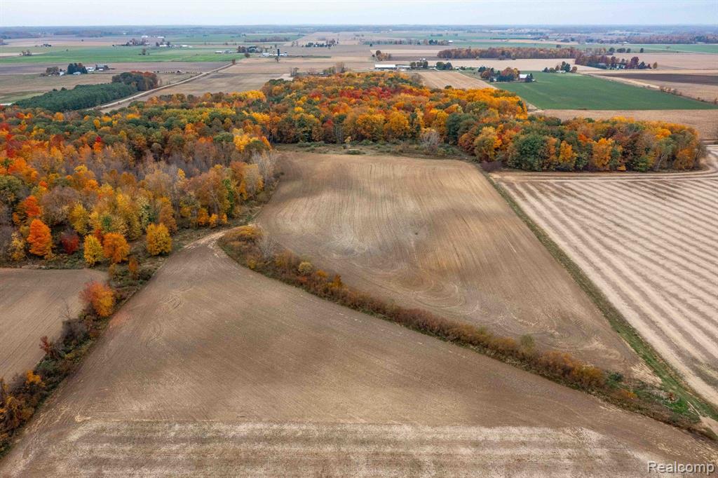 0 Wood Road Marlette, MI 48453 - Photo 2 of 20