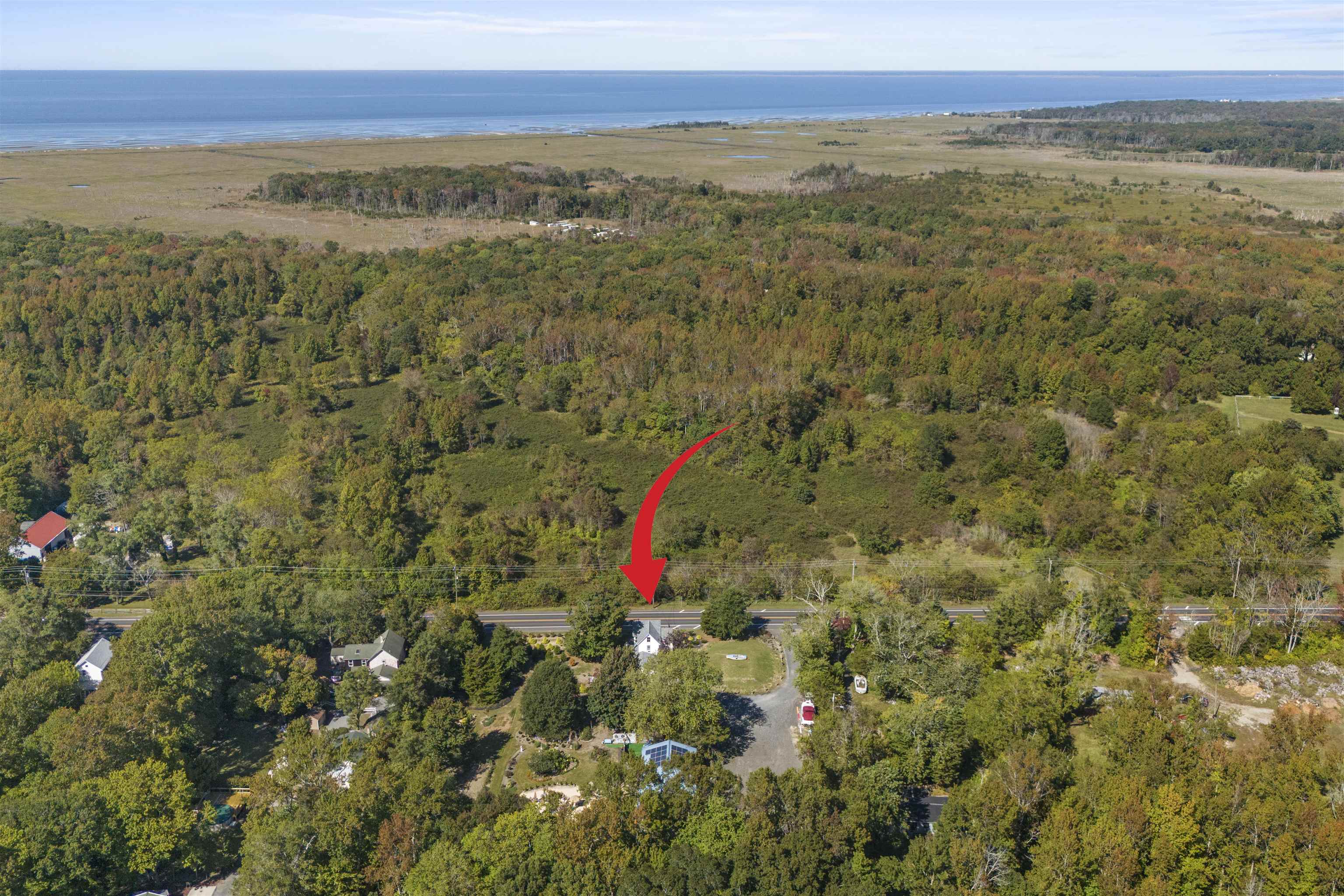 35 Bay Shore Road Cape May, NJ 08204 - Photo 43 of 45 a view of a city with lush green forest