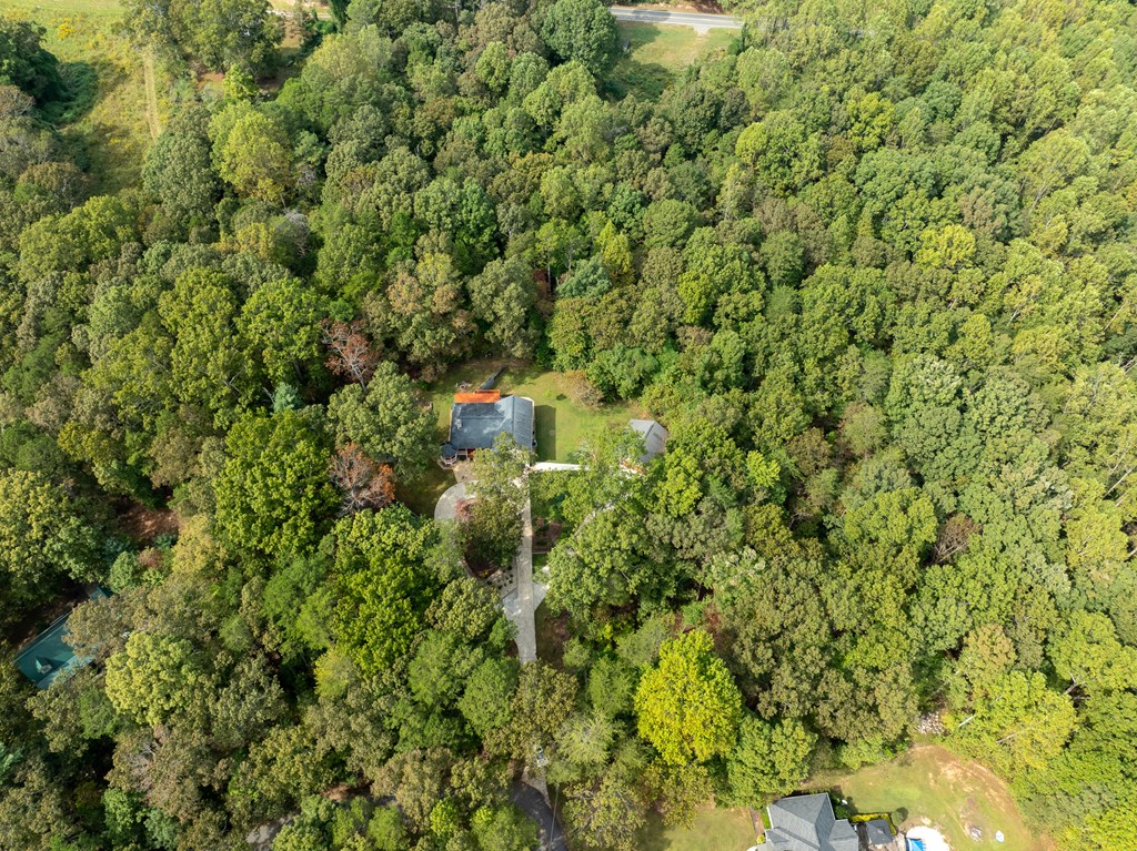 780 Timber Ridge Lane Ellijay, GA 30540 - Photo 49 of 58 Gallery Image 49