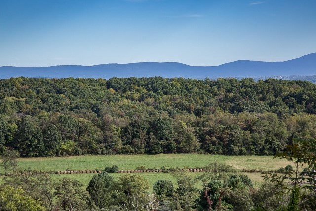1075 Old Greenville Road Staunton, VA 24401 - Photo 2 of 50 a view of a lush green field with a tree in the background