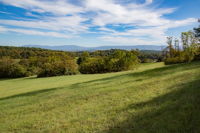 1075 Old Greenville Road Staunton, VA 24401 - Photo 49 of 50 a view of yard with ocean view