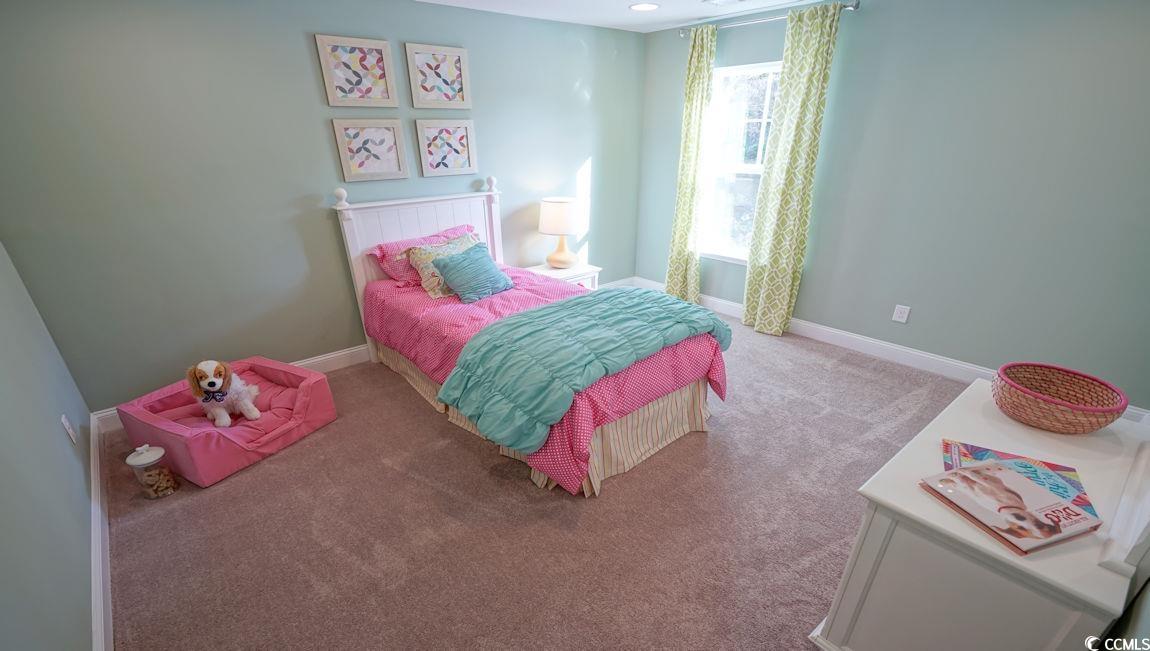 655 Fair Feather Court Myrtle Beach, SC 29588 - Photo 31 of 40