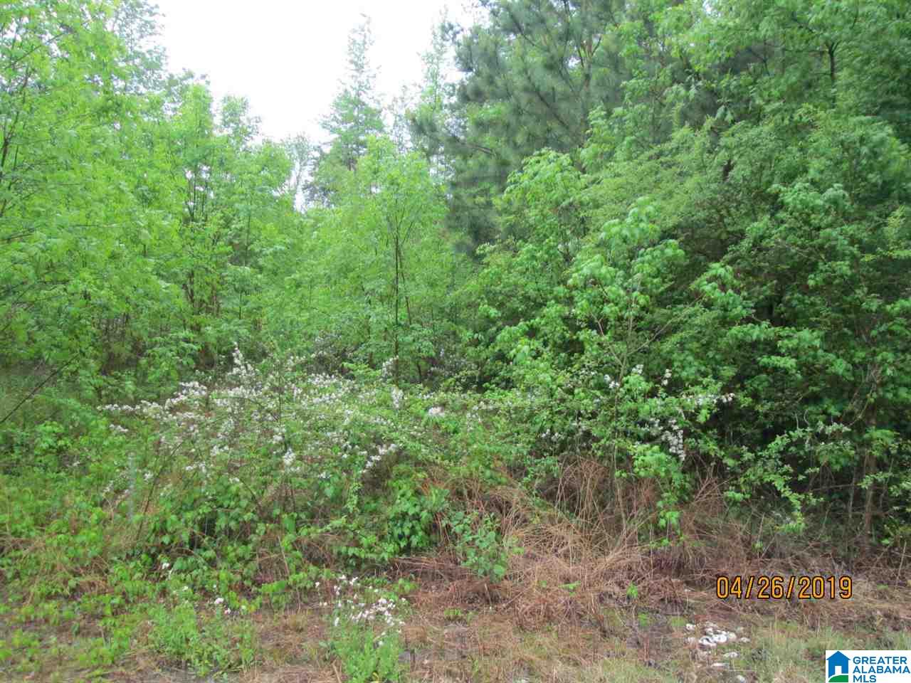 190 Prophecy Lane, Unit 1 Springville, AL 35146 - Photo 8 of 10 Gallery Image 8